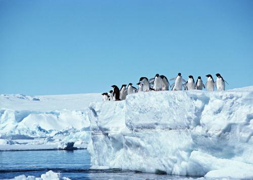 我国成为南极旅游第二大客源国 新规出台促南极游安全有序发展