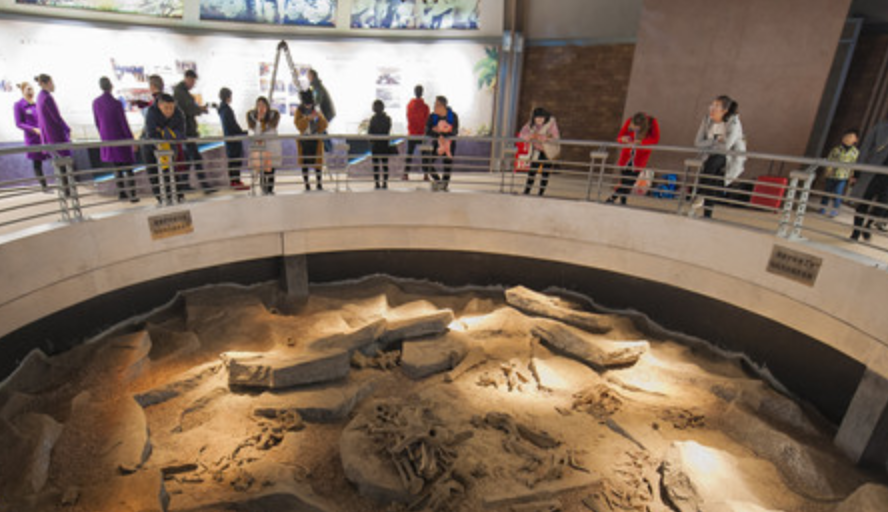 中华恐龙园第七届恐龙文化节 科技魔幻让恐龙“活”起来