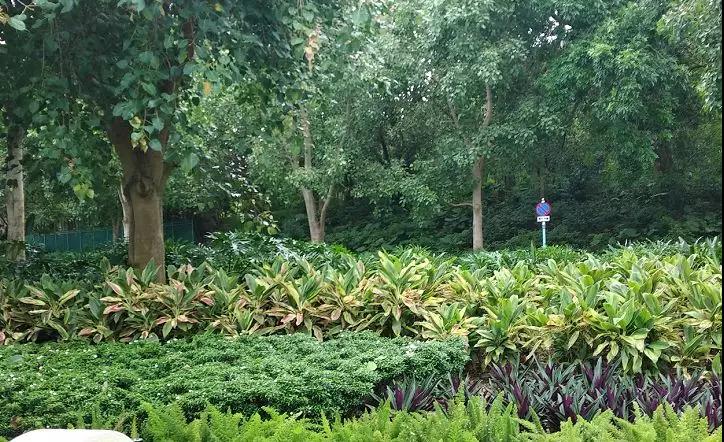 扩建园区、加码会奖旅游 2018年香港迪士尼能否实现盈利？