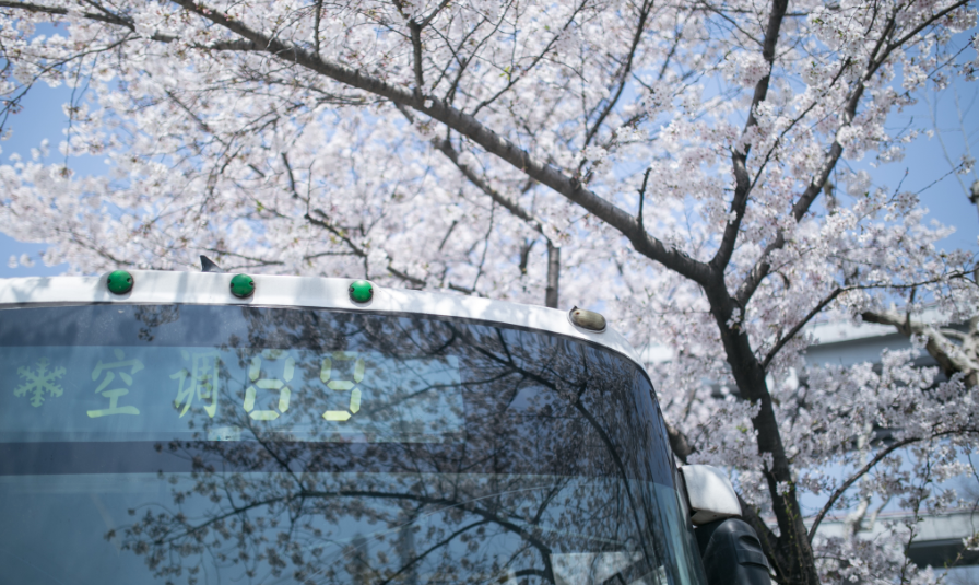 为方便入境游客 日本公交车编号将改成数字和字母