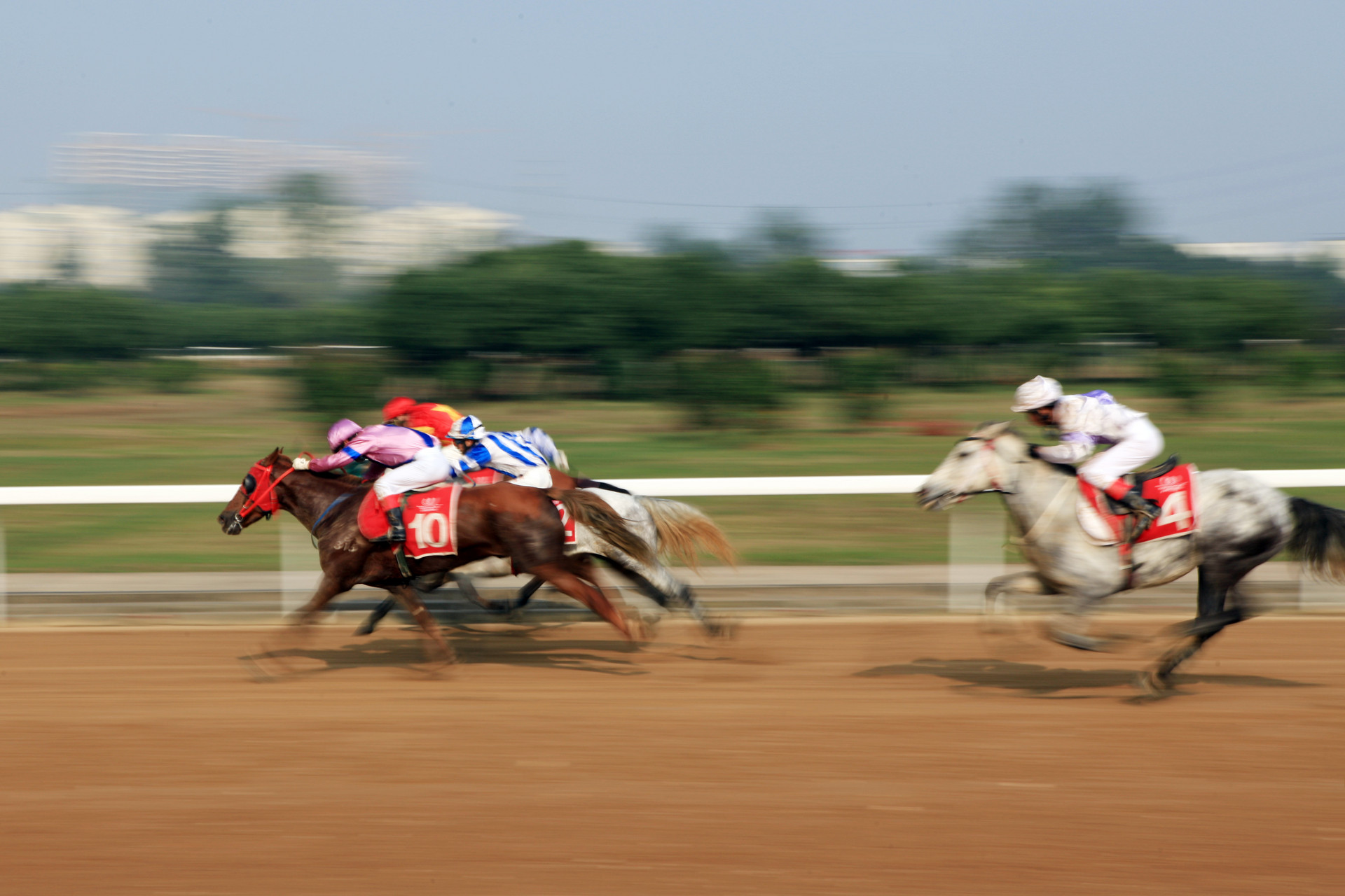 海南旅文厅：赛马运动与“赌马”无关 规划出台尚无时间表