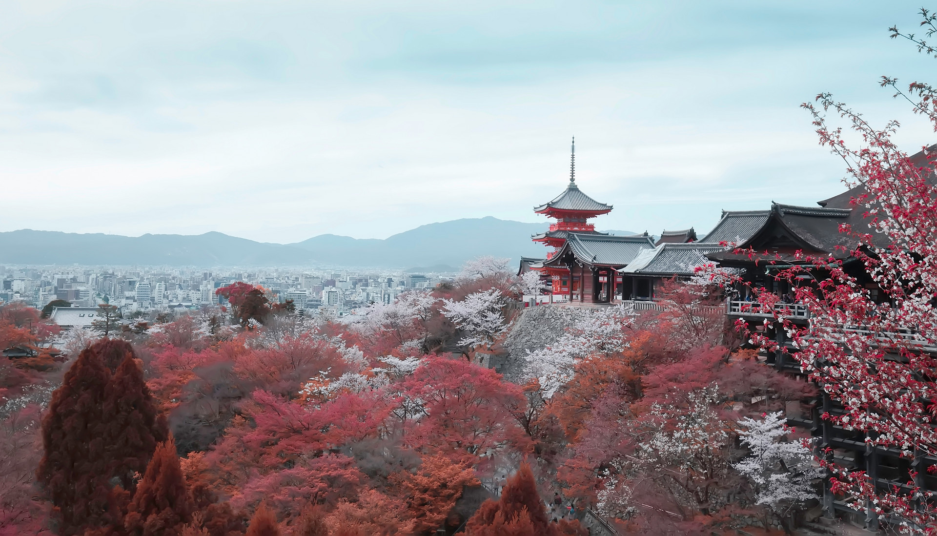 日本将启动旅游支援项目 东京因疫情反弹被排除在外