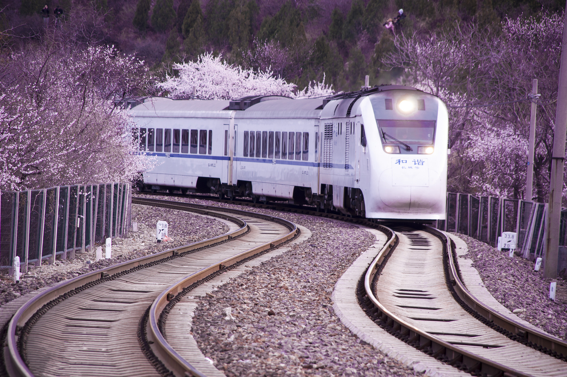 清明小长假全国铁路预计发送旅客4970万人次 将开行旅游专列