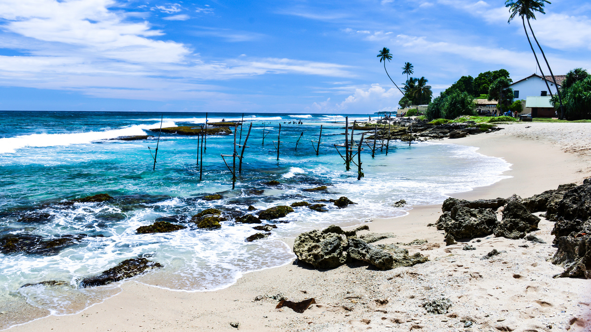 斯里兰卡上半年仅接待游客1.69万人次 同比下降96.7%