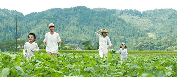 日本绿色旅游对我国乡村旅游发展有何启示？