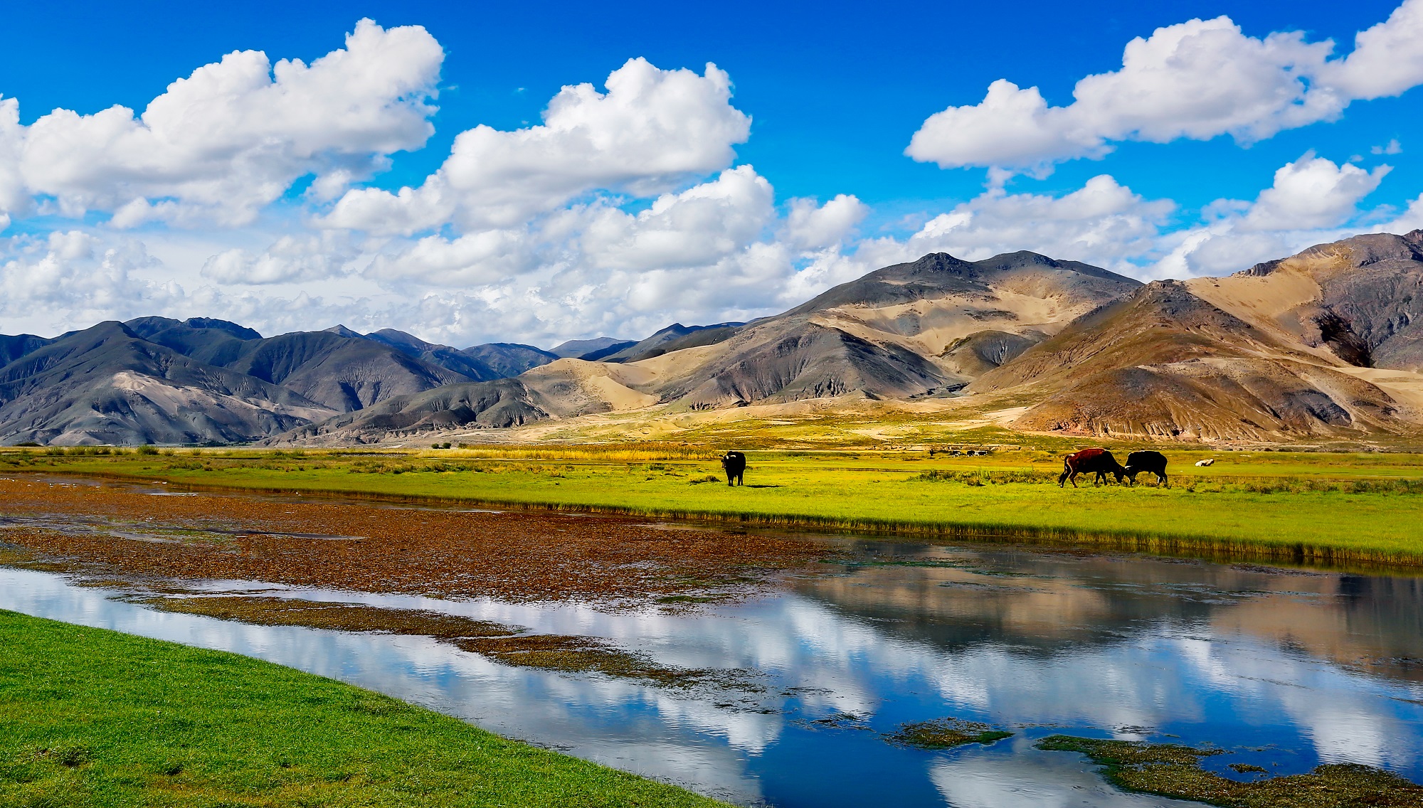 西藏发布第三轮“冬游西藏”市场促进奖励优惠政策