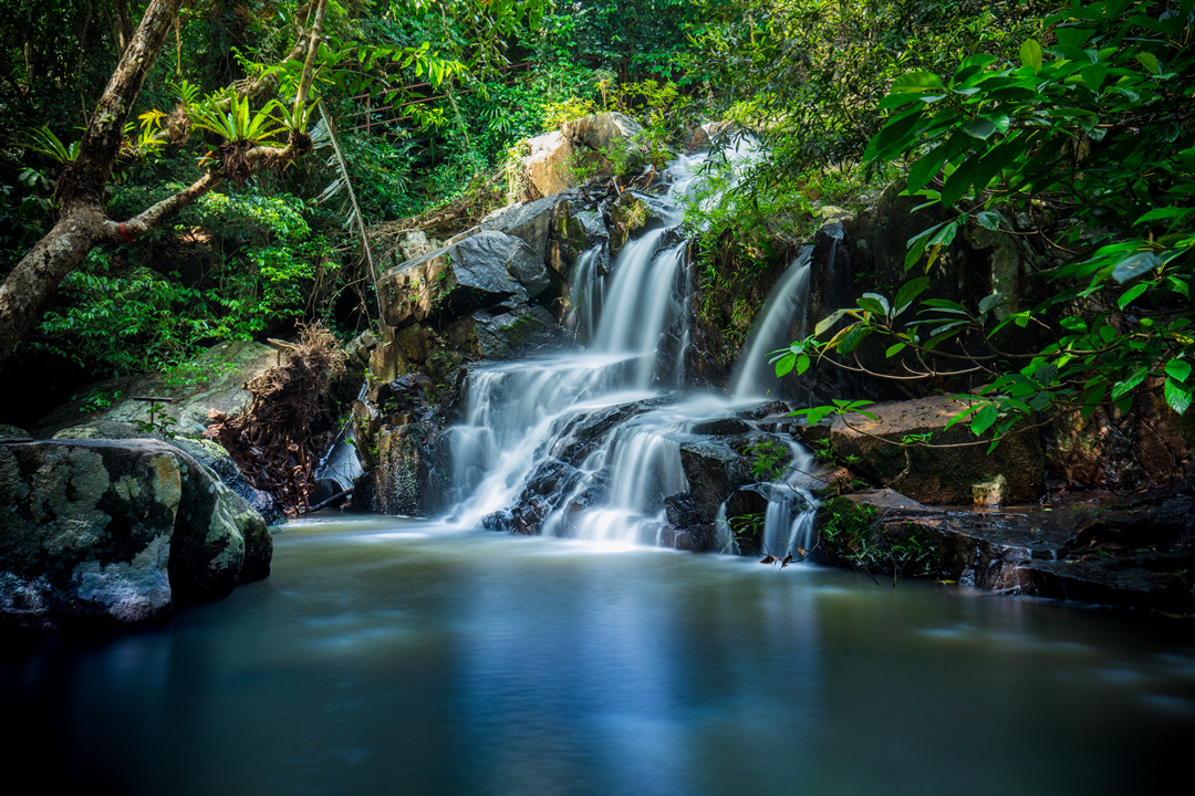 呀诺达绿色旅游年卡发售 海南居民凭卡可本年度内无限次免费畅游雨林