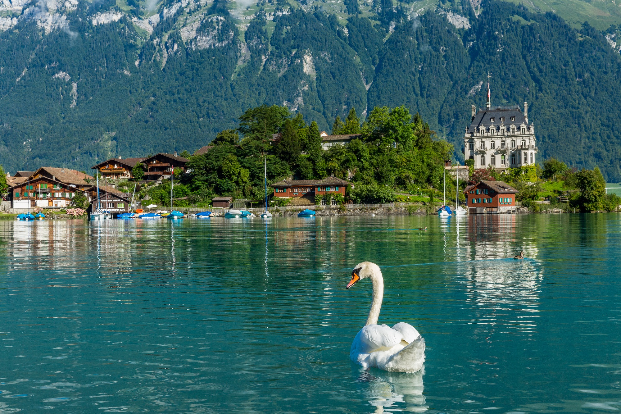 瑞士二成旅游相关企业或破产，4月酒店入住率仅为8%