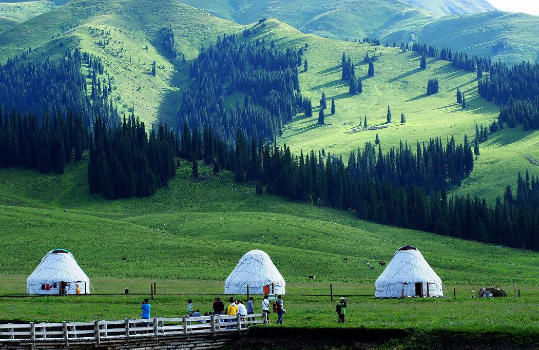 新疆旅游高质量发展平台成立