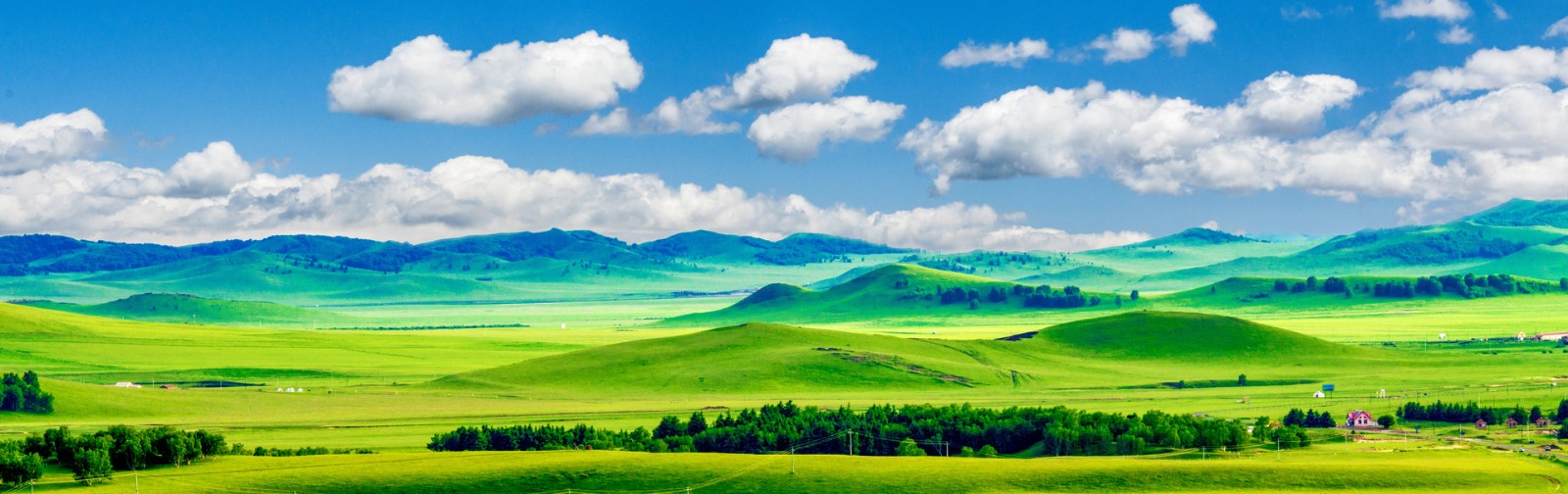 内蒙古暂停跨省团队旅游活动