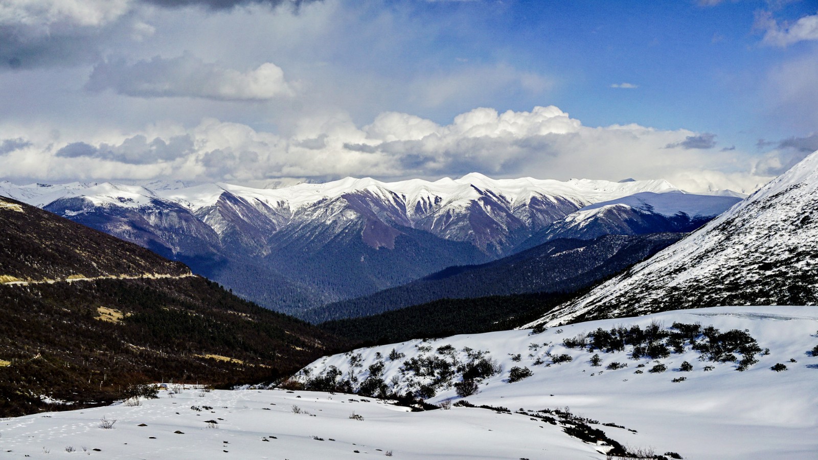 中国今年将在青藏高原等区域设立一批国家公园