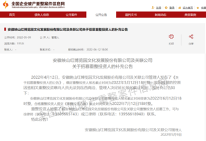 安徽映山红公司招募重整投资人报名期限延长